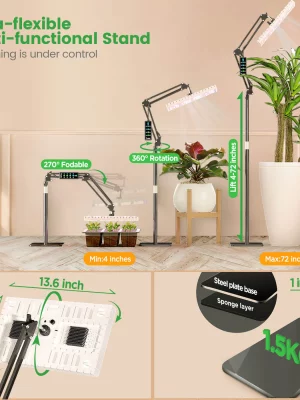 Lighting and Accessories