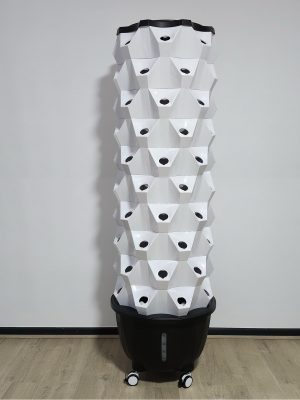 Hydroponic Pineapple Tower: 10 layers, 80 pods