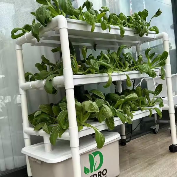 NFT System (JD1001) : 3 Tiers, 63 Plant Holes - Image 4