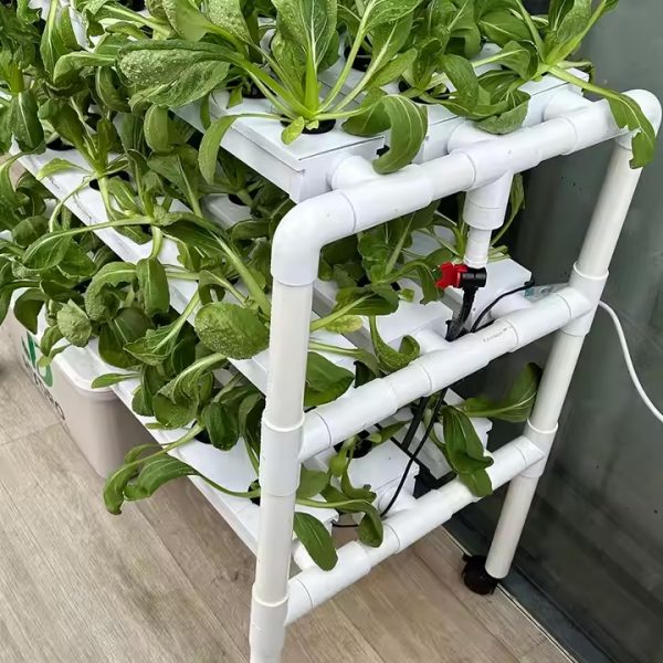 NFT System (JD1001) : 3 Tiers, 63 Plant Holes - Image 5