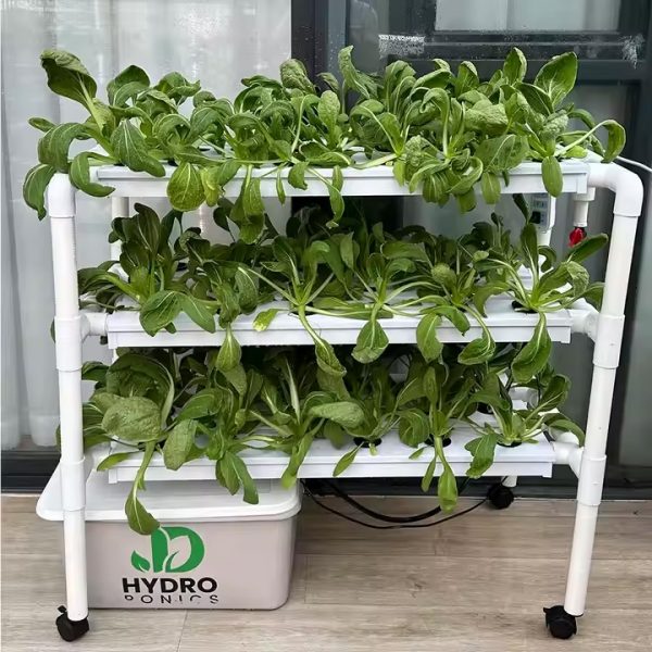 NFT System (JD1001) : 3 Tiers, 63 Plant Holes - Image 6